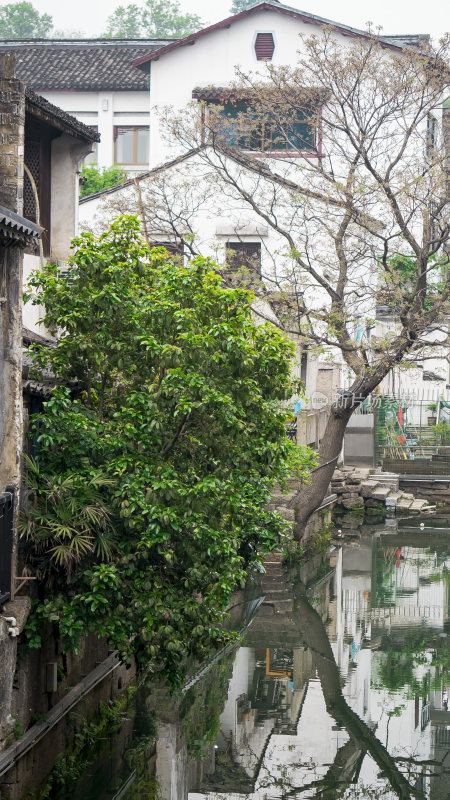 绍兴仓桥直街江南水乡风景