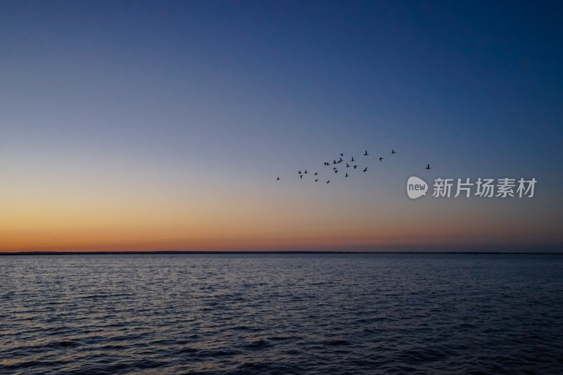 内蒙古额济纳，居延海的日出与海鸥