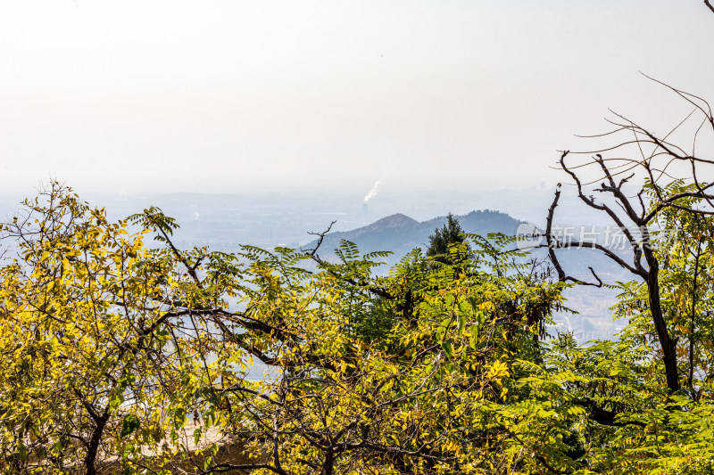 山林间远景山脉与植被景观