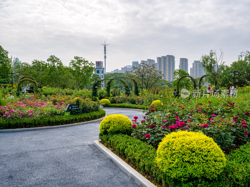 武汉金银湖月季花园里的景色与游客