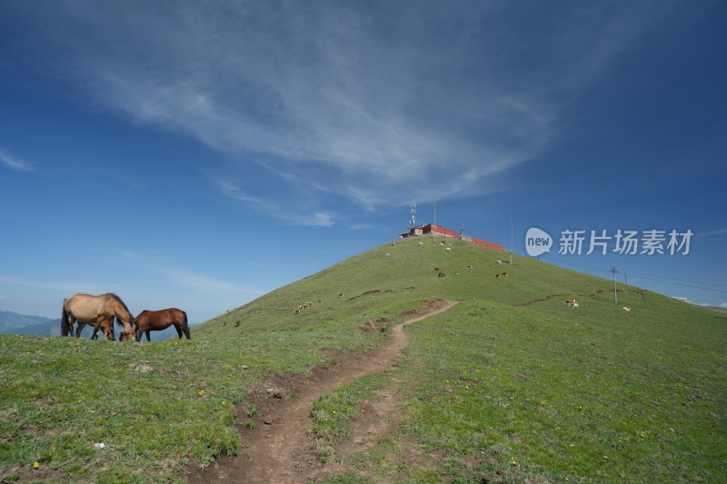 五台山南台风光