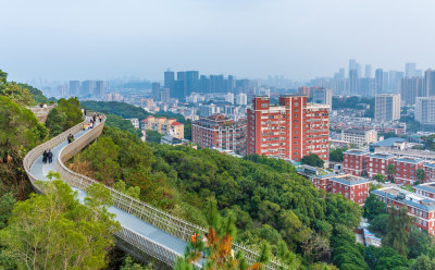 城市山林间的观景步道