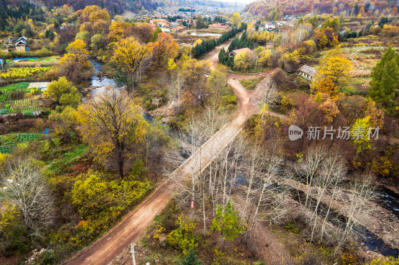 长白山景区秋天五彩森林中的乡村小道