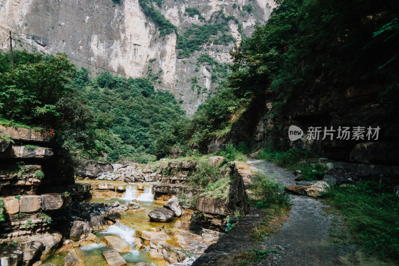 晋城双底村红豆杉大峡谷