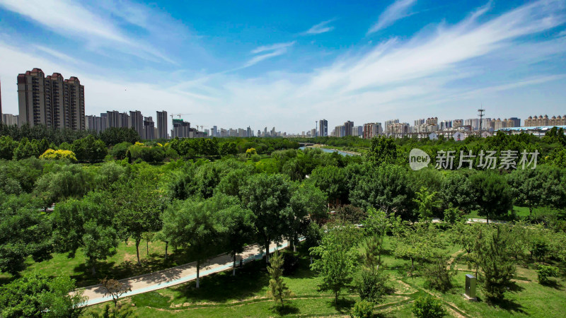 河北衡水城市风光绿化植物航拍图