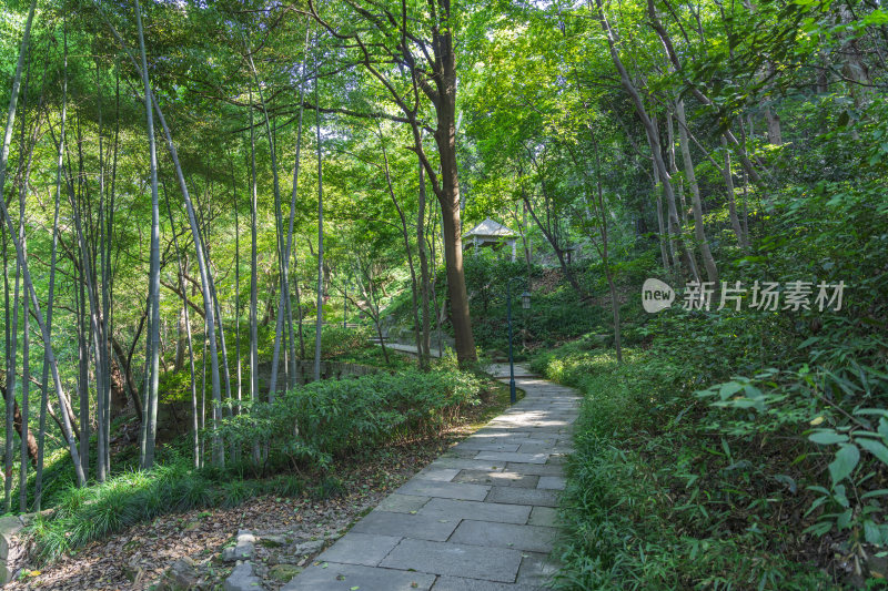 杭州宝石山景区金鼓洞景点