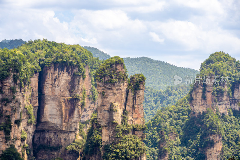 中国湖南张家界景区奇特山峰与茂密森林