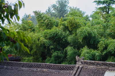 河南洛阳白马寺