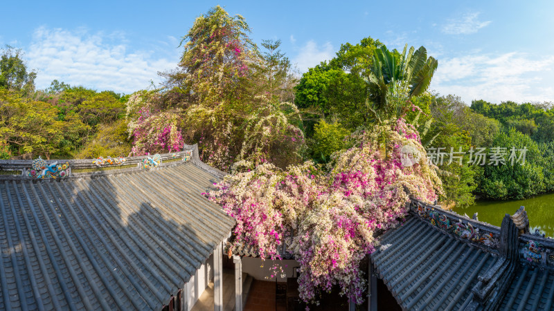 岭南古建的繁花似锦