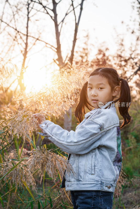 秋天在公园花丛中游玩中国女孩