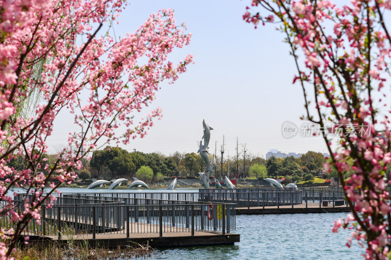 苏州昆山玉湖湿地公园