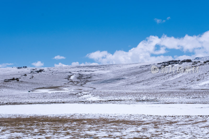 新疆巴音郭楞蓝天白云下的雪山草原风光