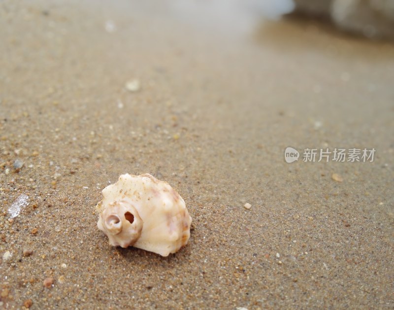 海滩沙滩海岸线