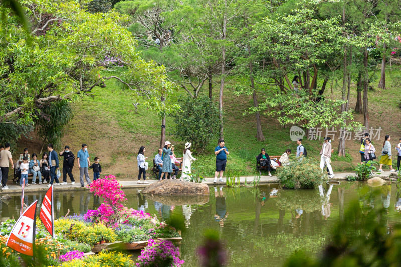 深圳仙湖植物园花展