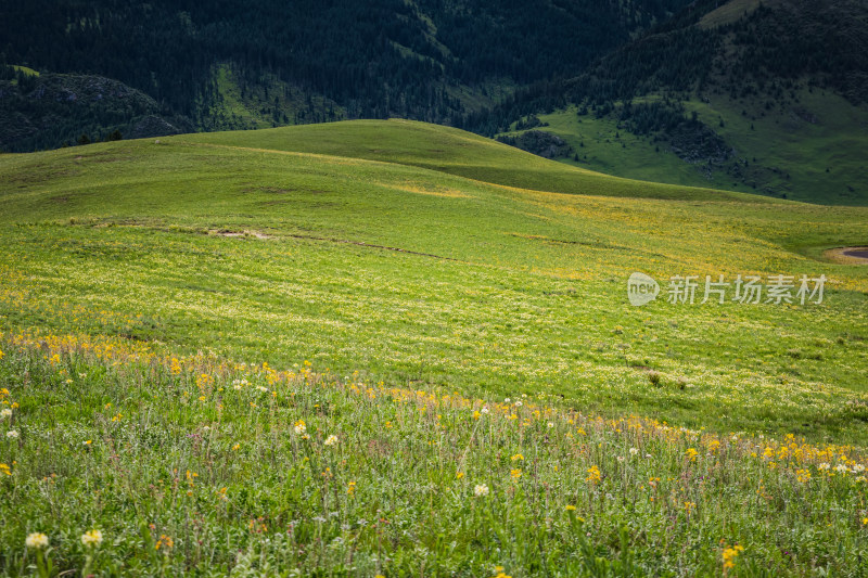 川西格聂夏天山脉 山峦 山峰 草原牧场