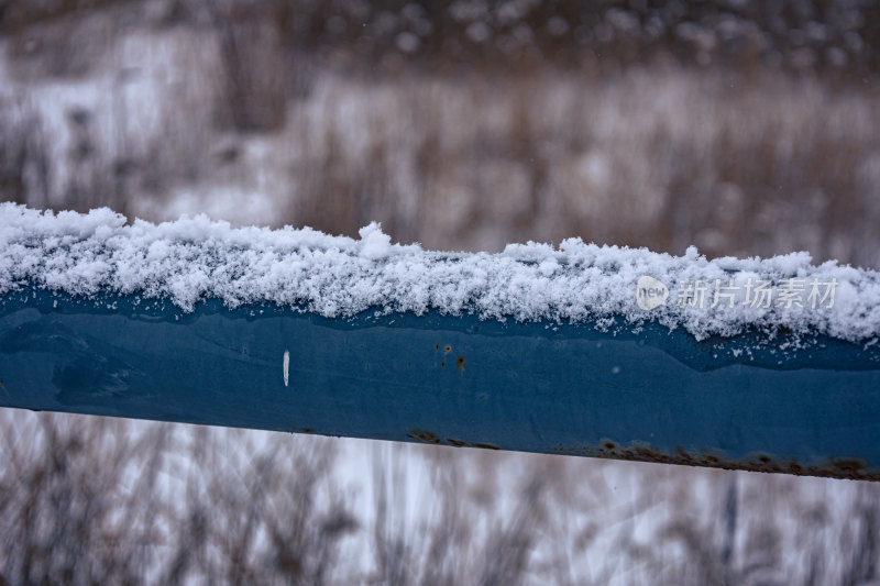 下雪的公园特写景观