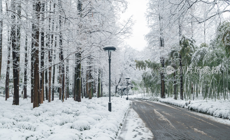 杭州市西湖雪景