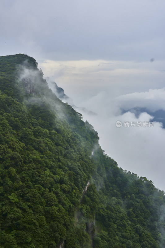 云雾缭绕的金佛山