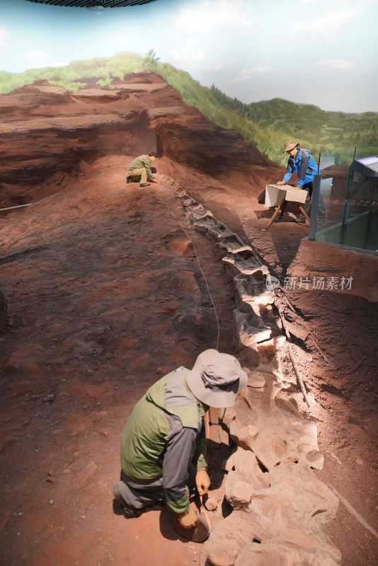重庆合川马门溪龙化石发掘现场模拟情景
