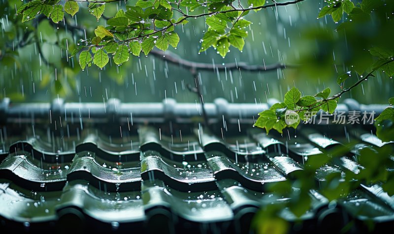 阴雨天屋顶瓦片春天树叶宁静自然背景