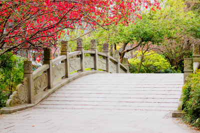 风景背景自然户外春天花朵植物古建筑