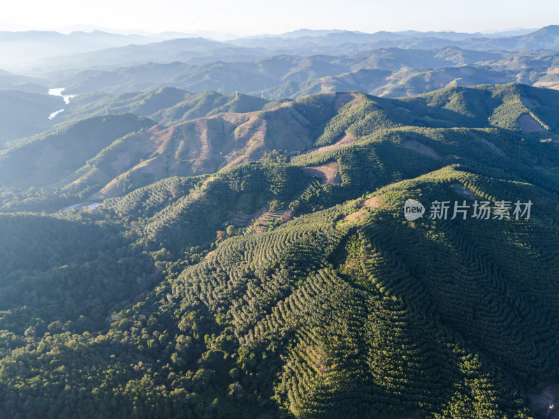 航拍绿意盎然的连绵起伏的山地景色