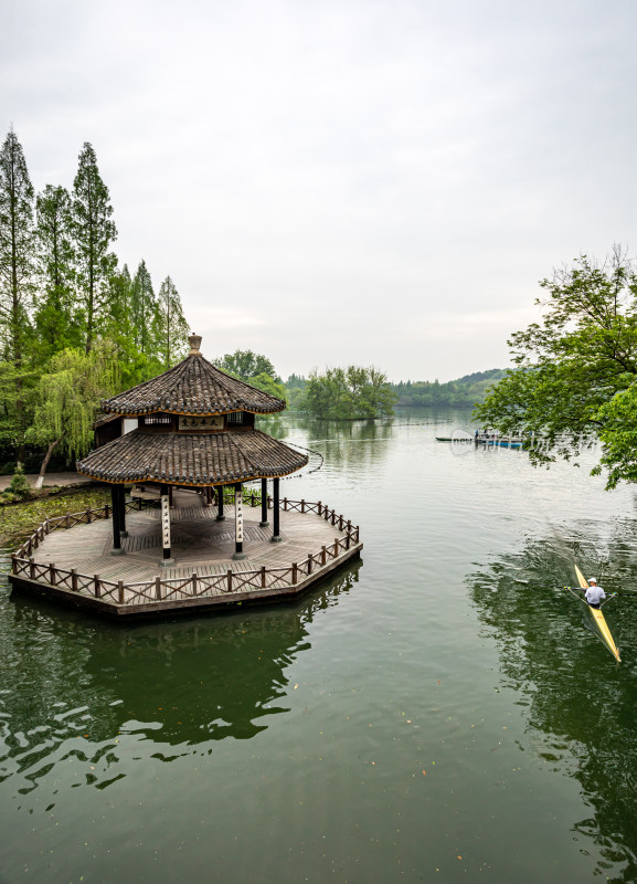 杭州西湖茅家埠黛色参天自然风景景观