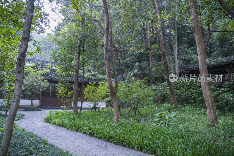 杭州三台山留馀山居风景