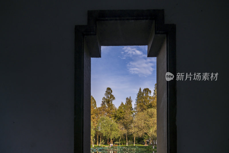 杭州西湖风景区曲院风荷风景