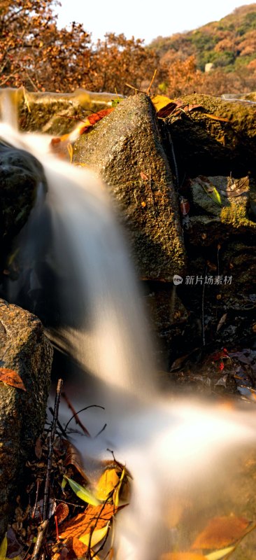 山间溪流与落叶风景