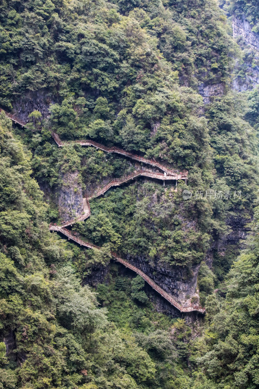 湖北宜昌三峡竹海风景区，自然风光，竹海