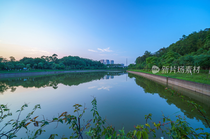 广州番禺金山湖文化公园湖泊树林夕阳落日