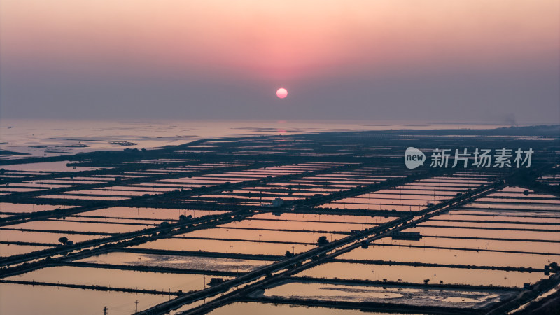 水产养殖：廉江市龙营围万亩虾田