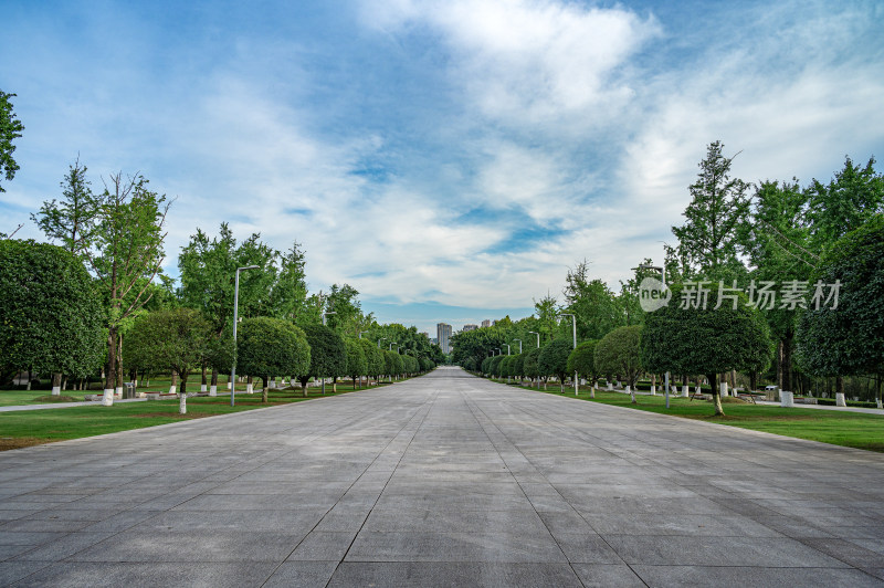 重庆渝北中央公园空旷的地面广场和树木背景