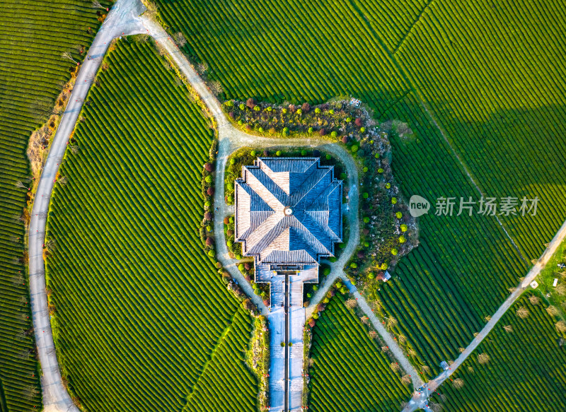 贵州遵义湄潭茶海