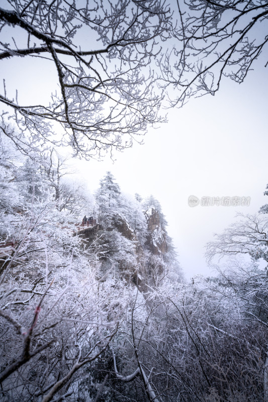 老君山下雪大山森林雾凇景观