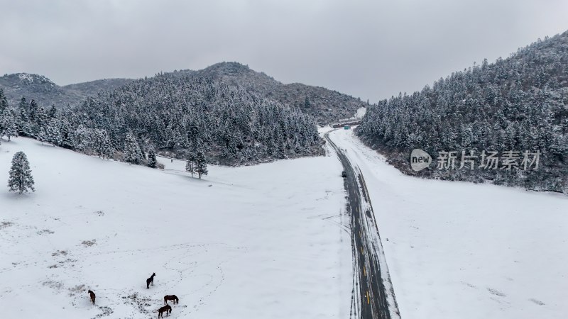 重庆酉阳：大雪纷飞赏雪忙