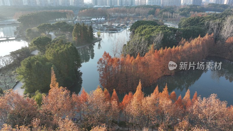 航拍多彩树林与水域相间的自然景观