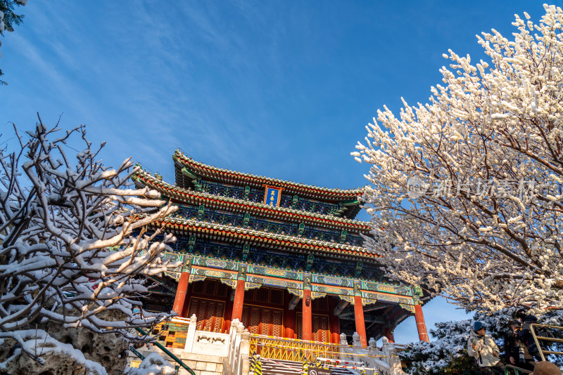北京景山公园雪景