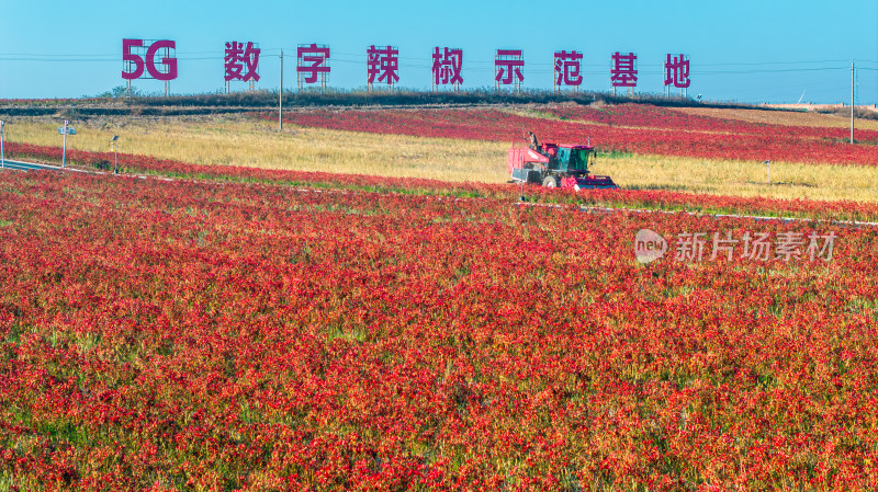 5G数字辣椒种植基地丰收航拍