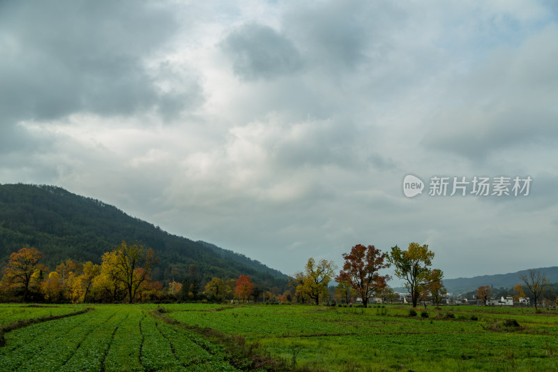 塔川的秋天