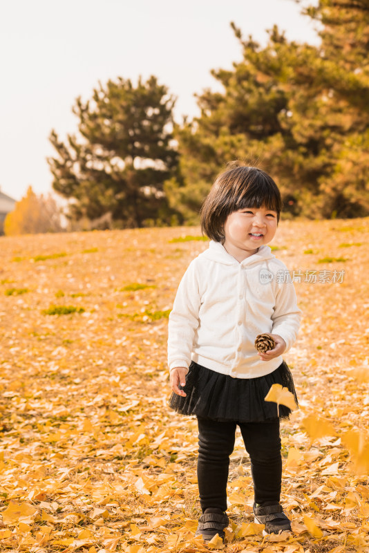 深秋在公园落满黄叶的草地上玩耍的女孩