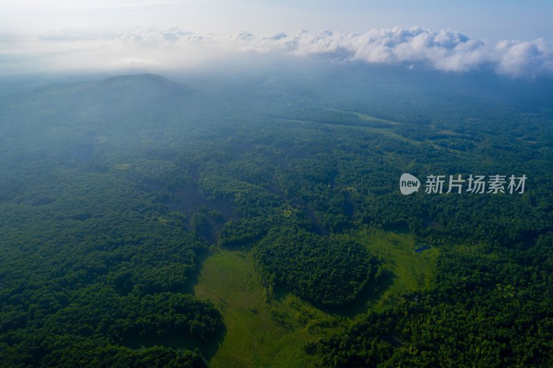 空中俯瞰茂密森林与云海