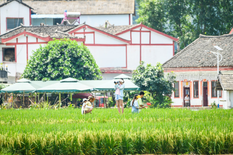 乡村旅游新农村幸福生活乡村振兴