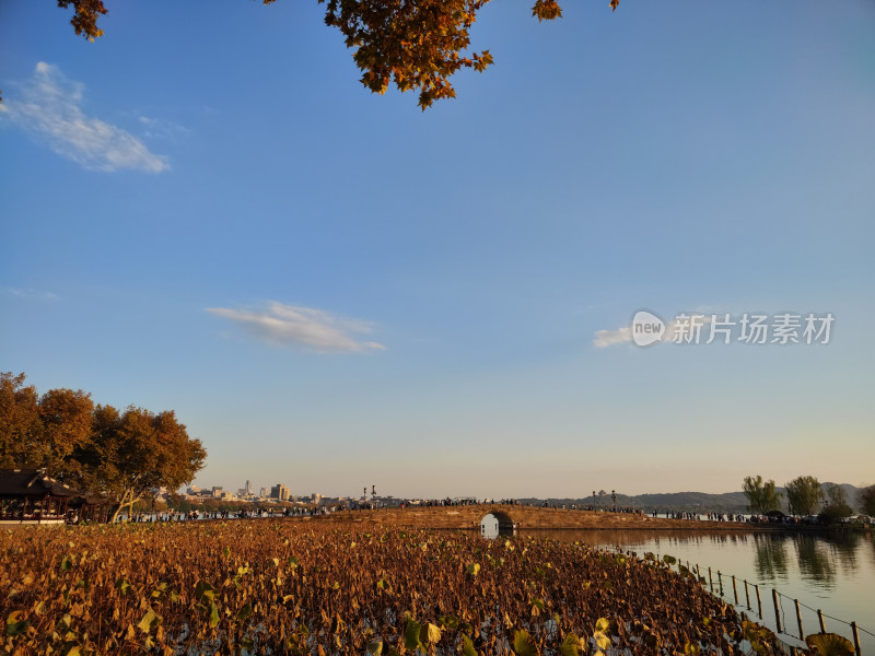 杭州西湖断桥湖畔黄昏夕阳下的景色