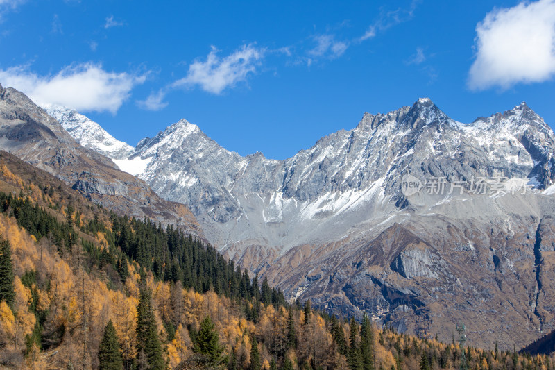 川西四姑娘山双桥沟景区雪山秋色