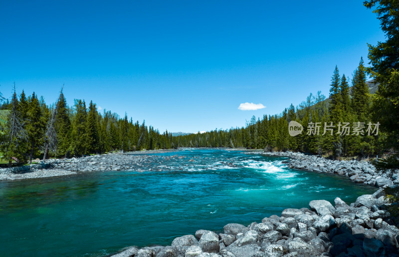 新疆阿勒泰喀纳斯河流森林自然风光