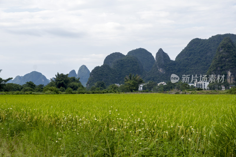 阳朔遇龙河风光