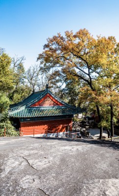 峄山秋日中式古建筑与树木景观