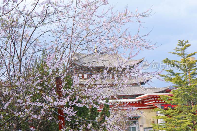 独克宗古城大佛寺